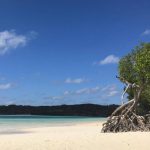 Rote-island02-515x415